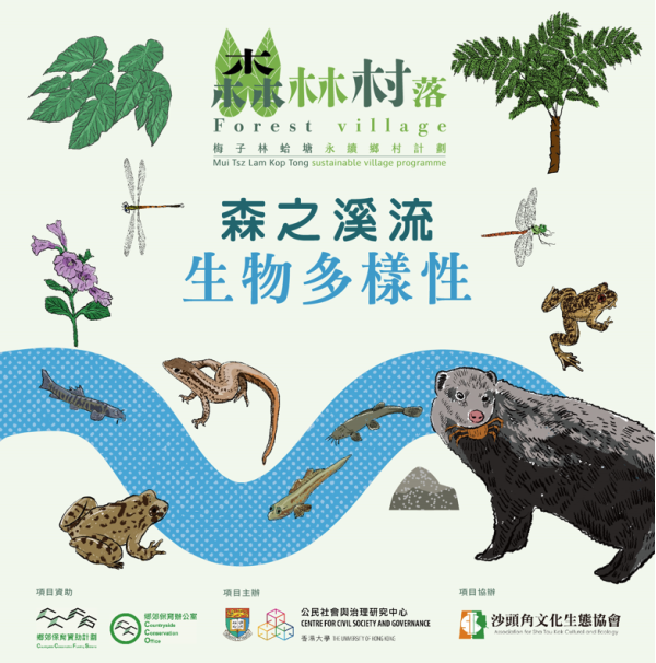 Biodiversity of the Streams