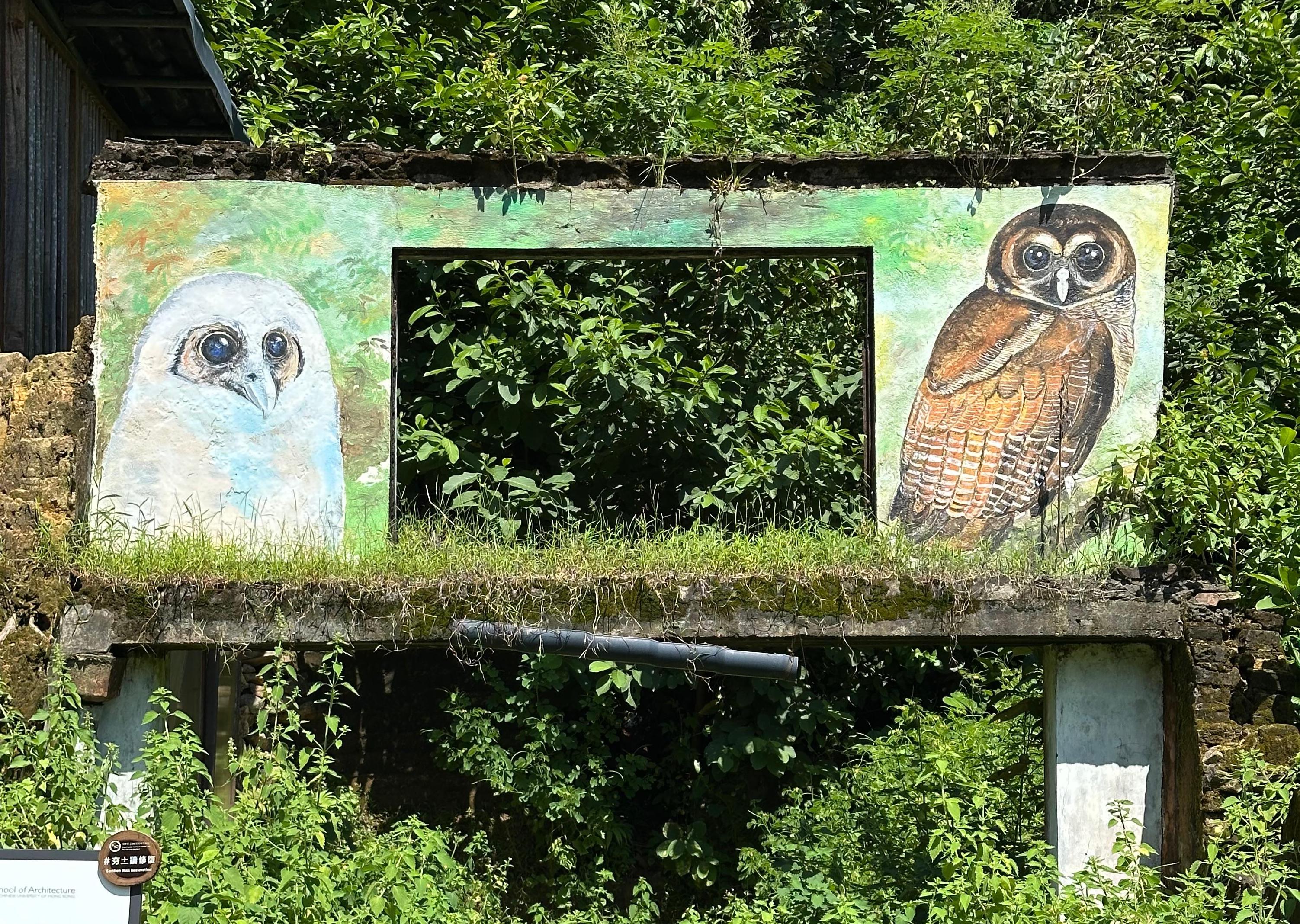 Owl in Forest Village