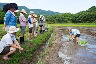 Sustainable Lai Chi Wo: Living Water & Community Revitalization – An Agricultural-led Action, Engagement and Incubation Programme at Lai Chi Wo